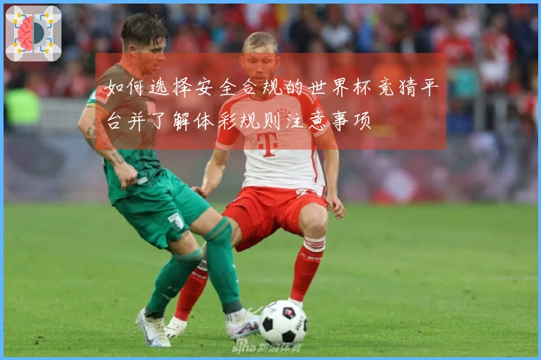 如何选择安全合规的世界杯竞猜平台并了解体彩规则注意事项