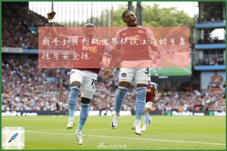 新手如何判断世界杯投注站的可靠性与安全性