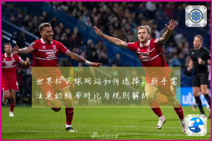 世界杯买球网站如何选择？新手需注意的赔率对比与规则解析